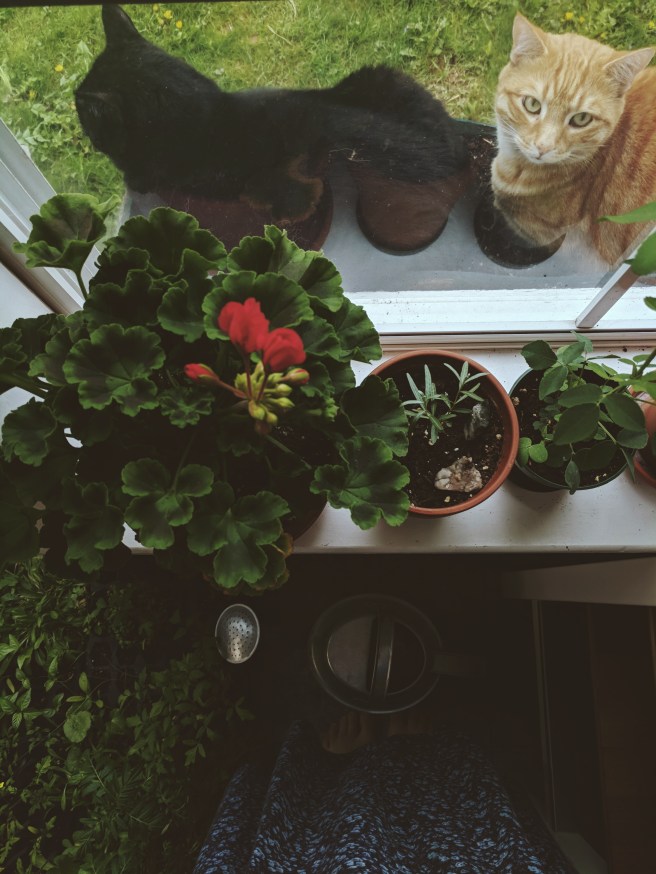 Processed with VSCO with m3 preset