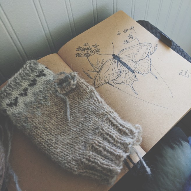 Processed with VSCO with t1 preset