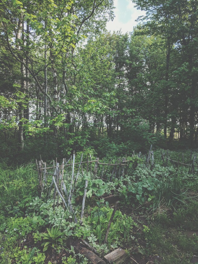 Processed with VSCO with t1 preset