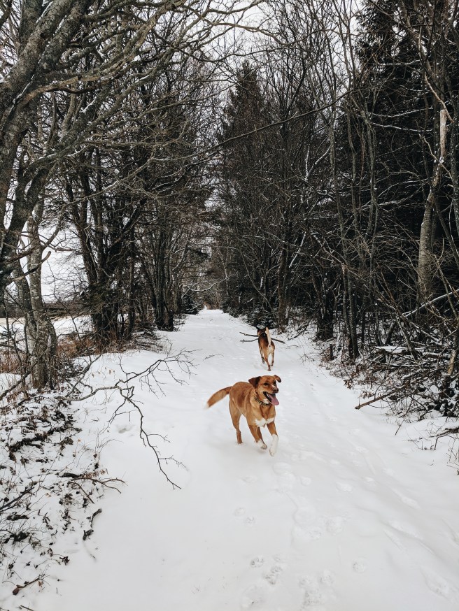 Processed with VSCO with a6 preset