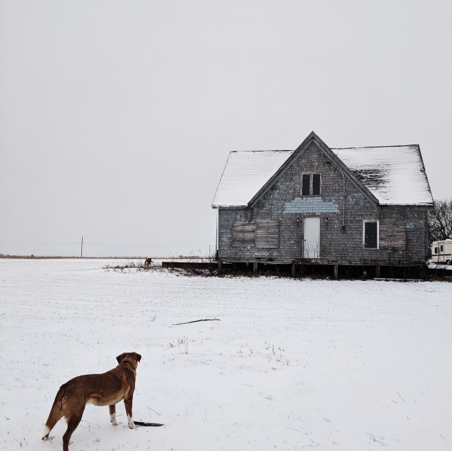 Processed with VSCO with ss3 preset