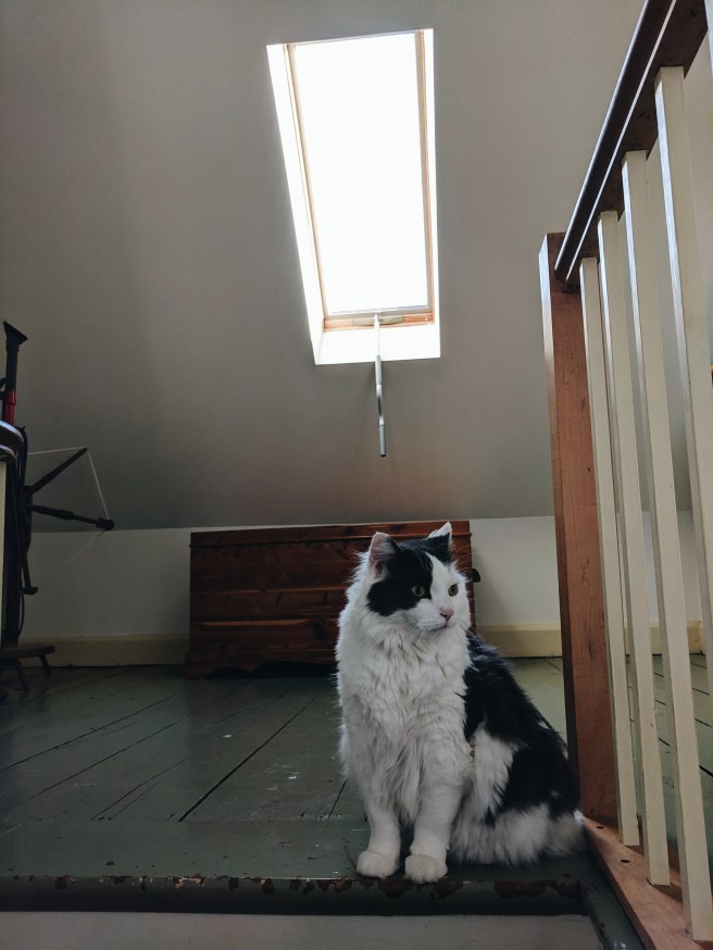 Processed with VSCO with a6 preset