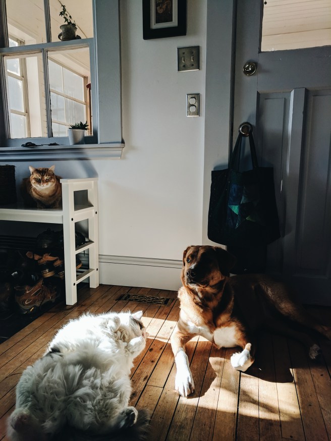 Processed with VSCO with a6 preset