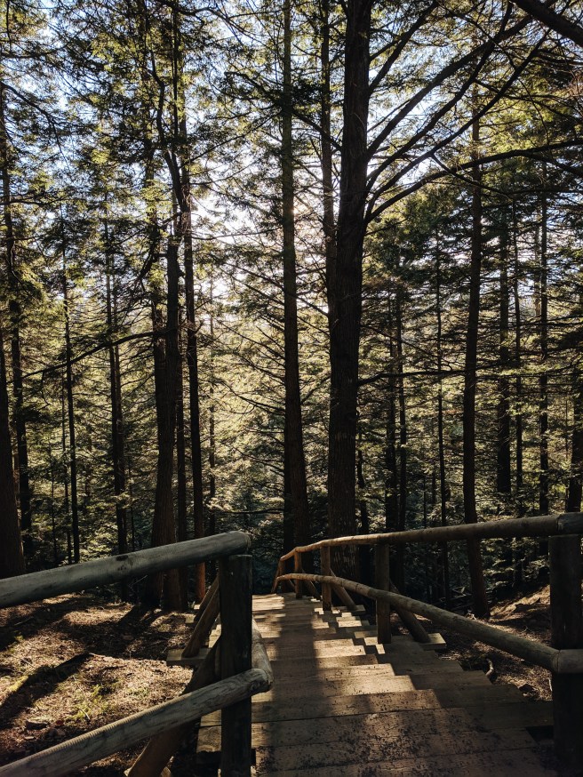 Processed with VSCO with a6 preset