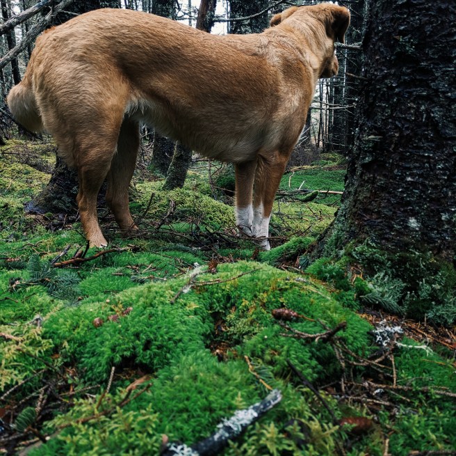 Processed with VSCO with g3 preset