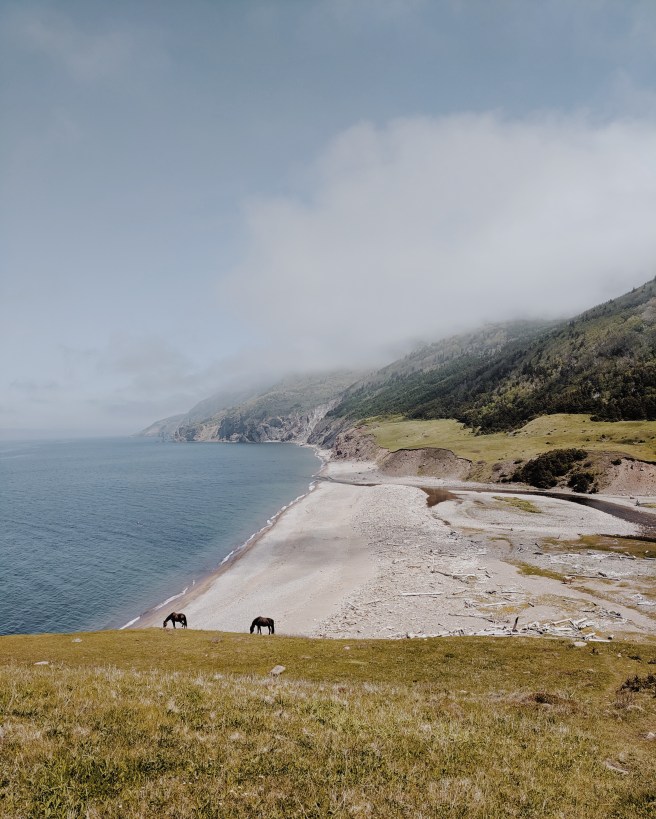 Processed with VSCO with m5 preset