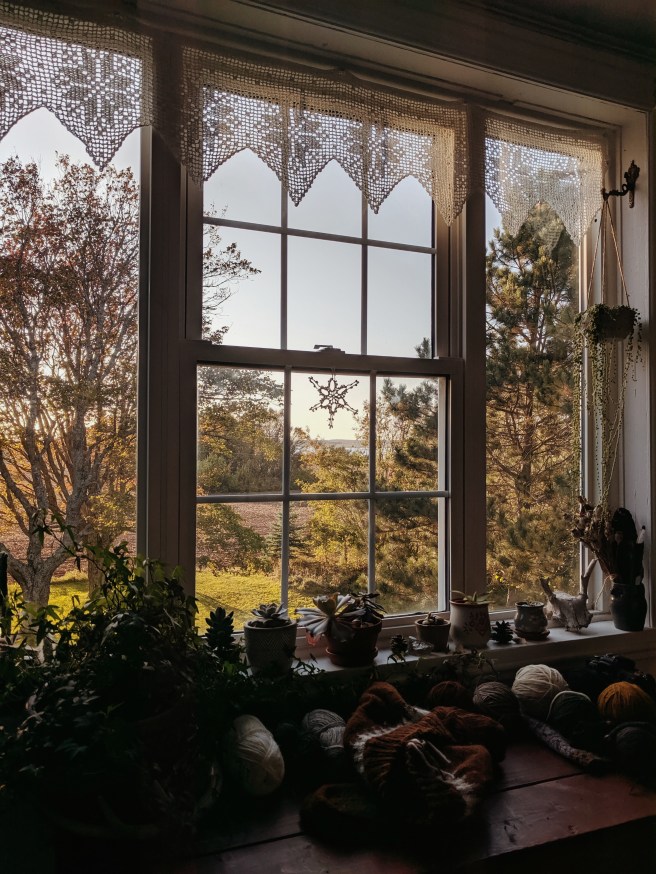 Processed with VSCO with m5 preset