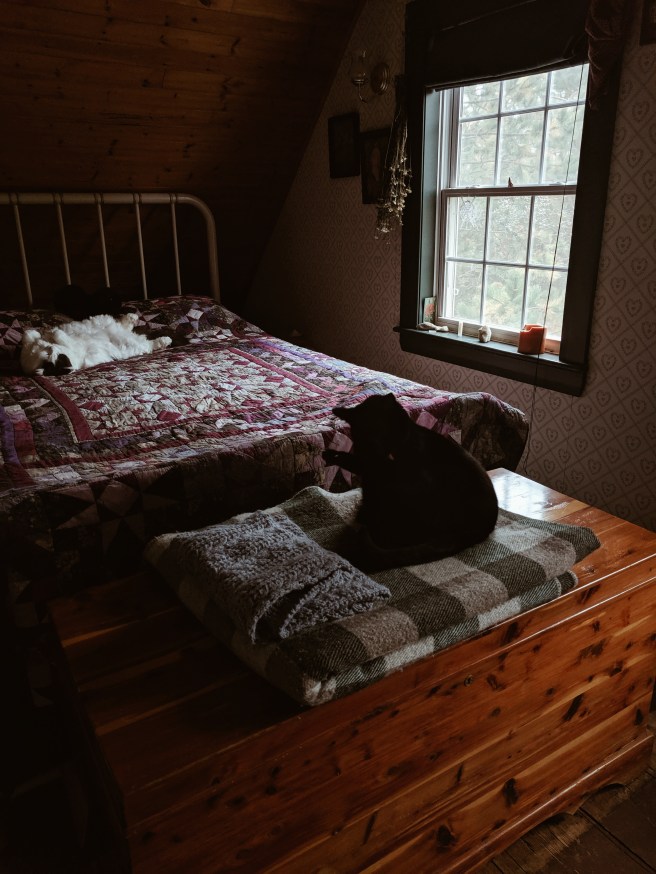 Processed with VSCO with a4 preset