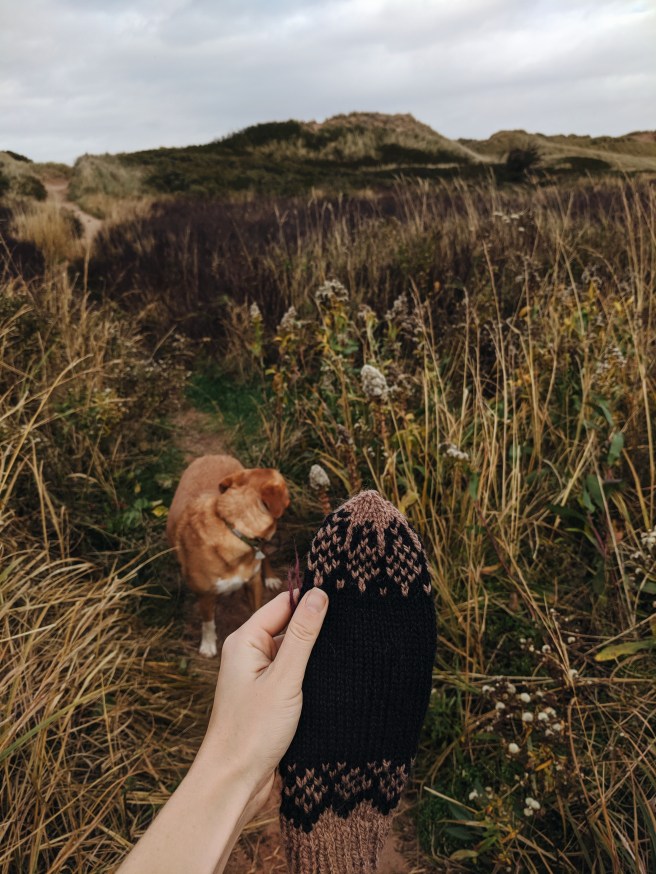 Processed with VSCO with a6 preset