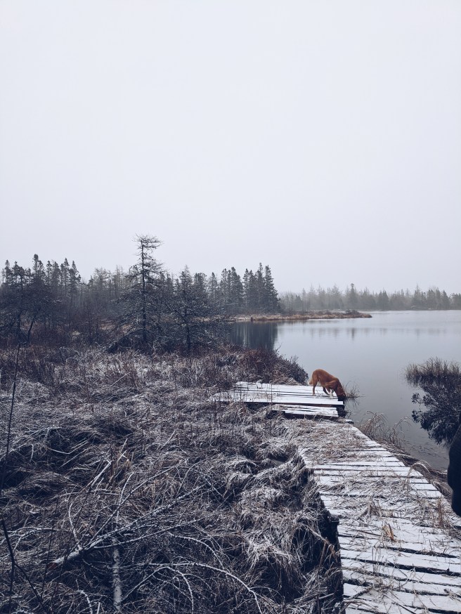 Processed with VSCO with a5 preset