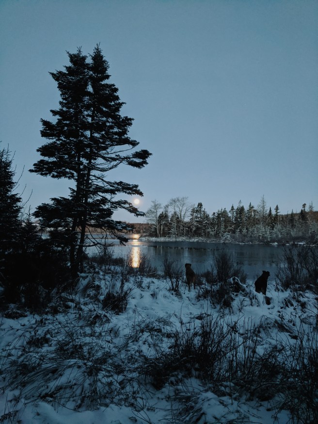 Processed with VSCO with m5 preset