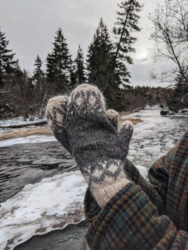 Processed with VSCO with a6 preset