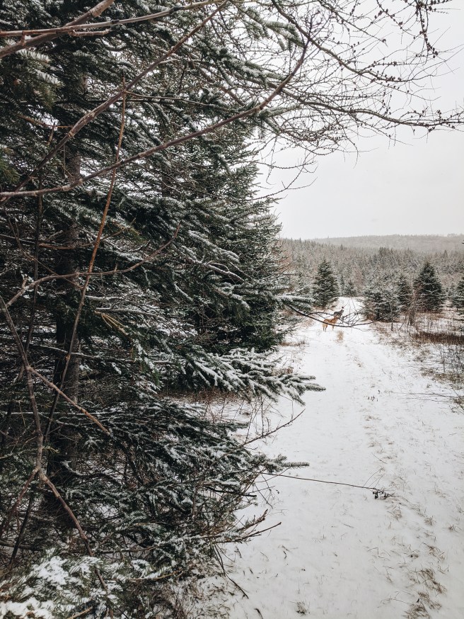 Processed with VSCO with a6 preset