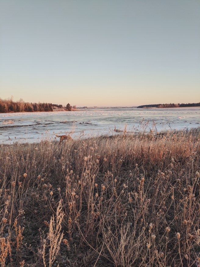 Processed with VSCO with f2 preset