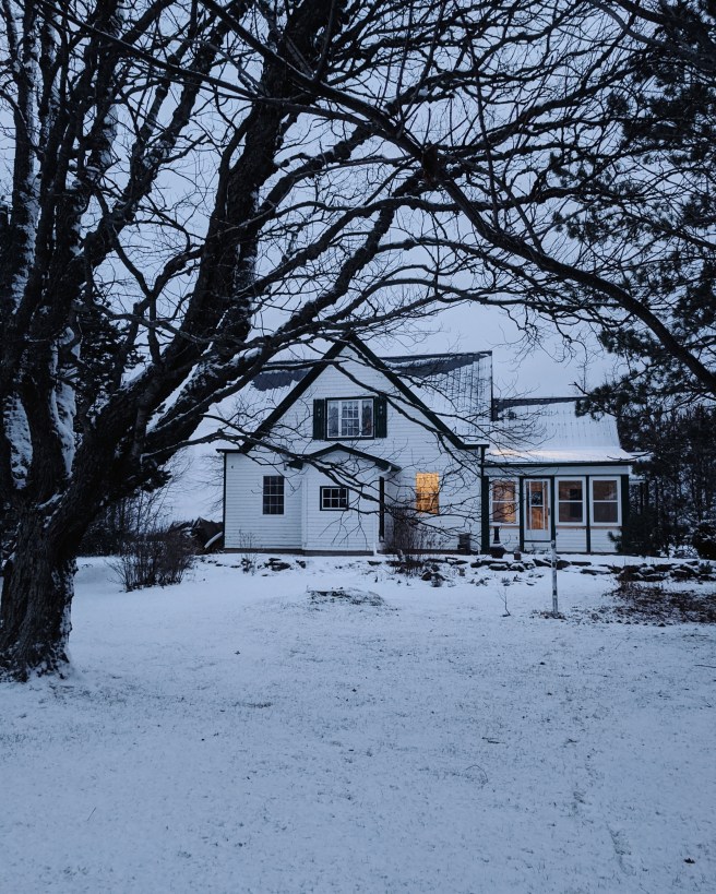 Processed with VSCO with m5 preset