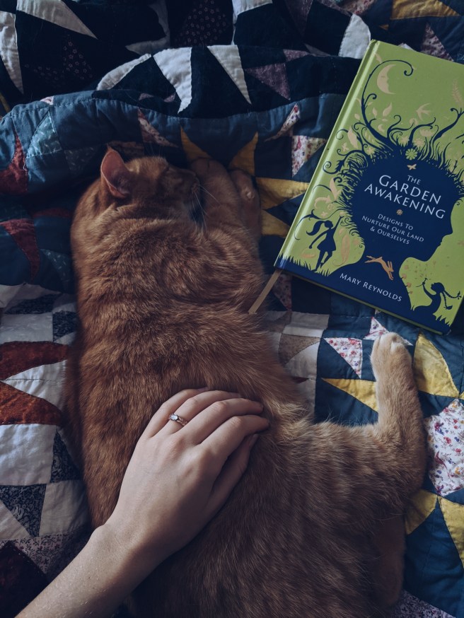 Processed with VSCO with a5 preset