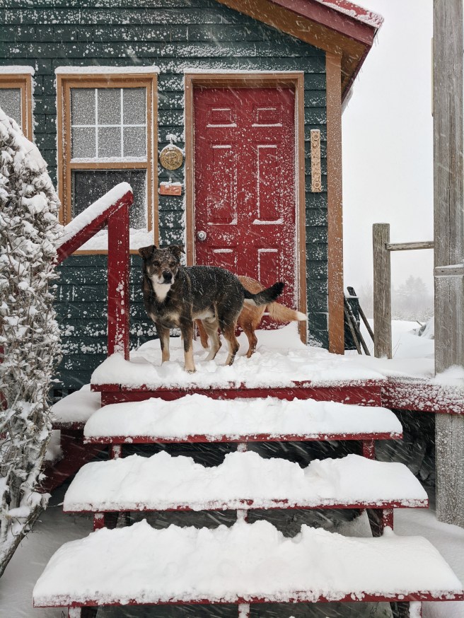 Processed with VSCO with a6 preset