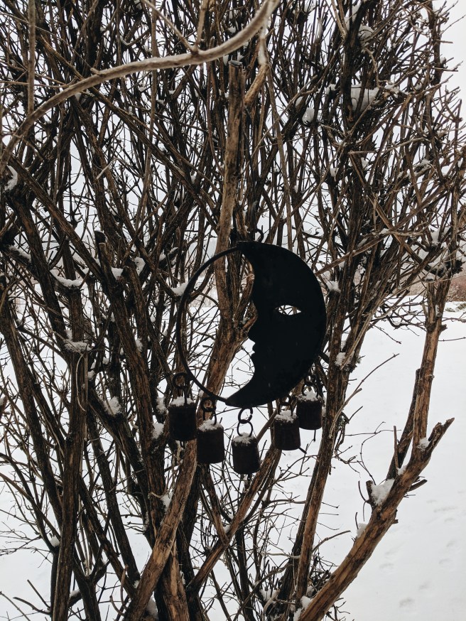 Processed with VSCO with a6 preset