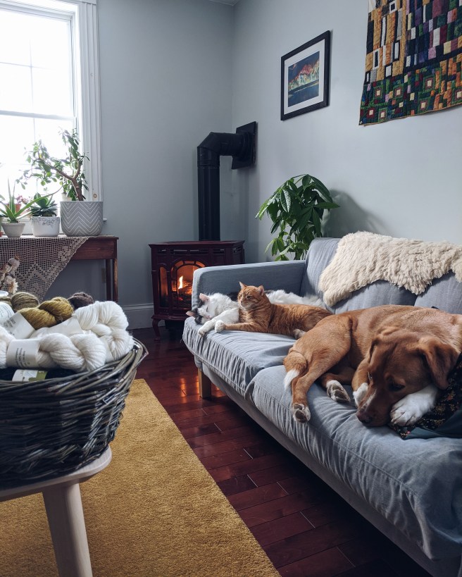 Processed with VSCO with a5 preset