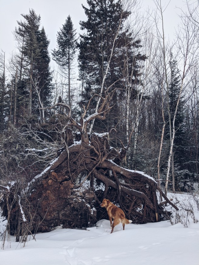 Processed with VSCO with a5 preset