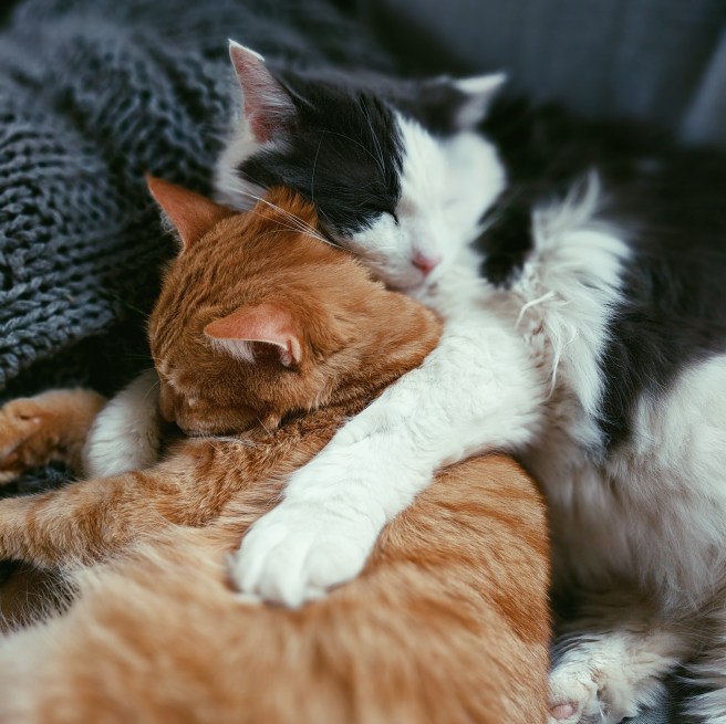 Processed with VSCO with p5 preset