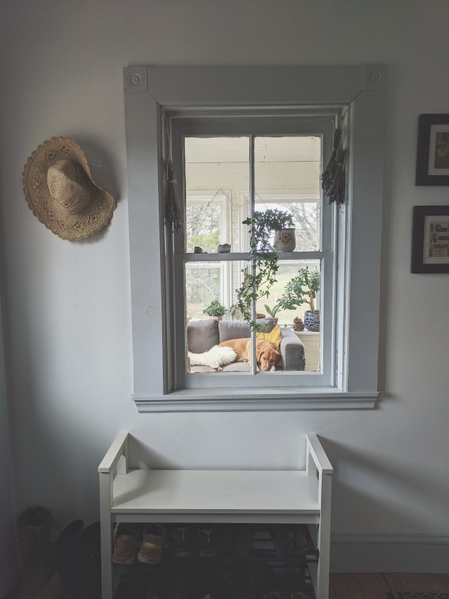 Processed with VSCO with t1 preset