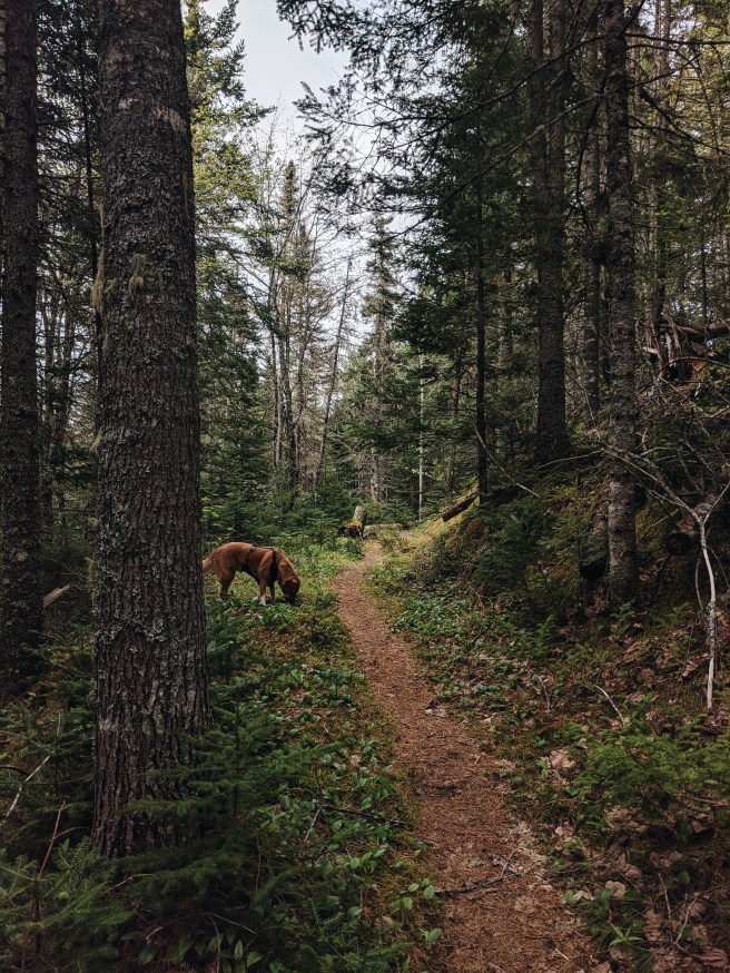 Processed with VSCO with a6 preset