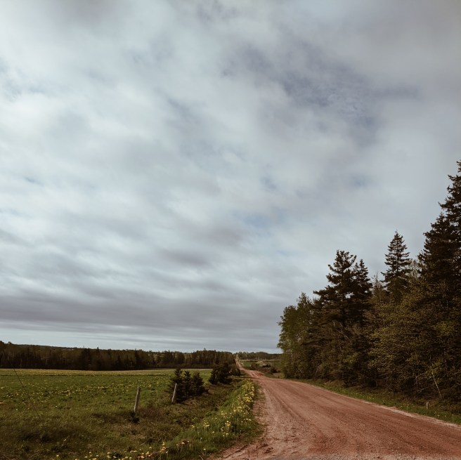 Processed with VSCO with a4 preset