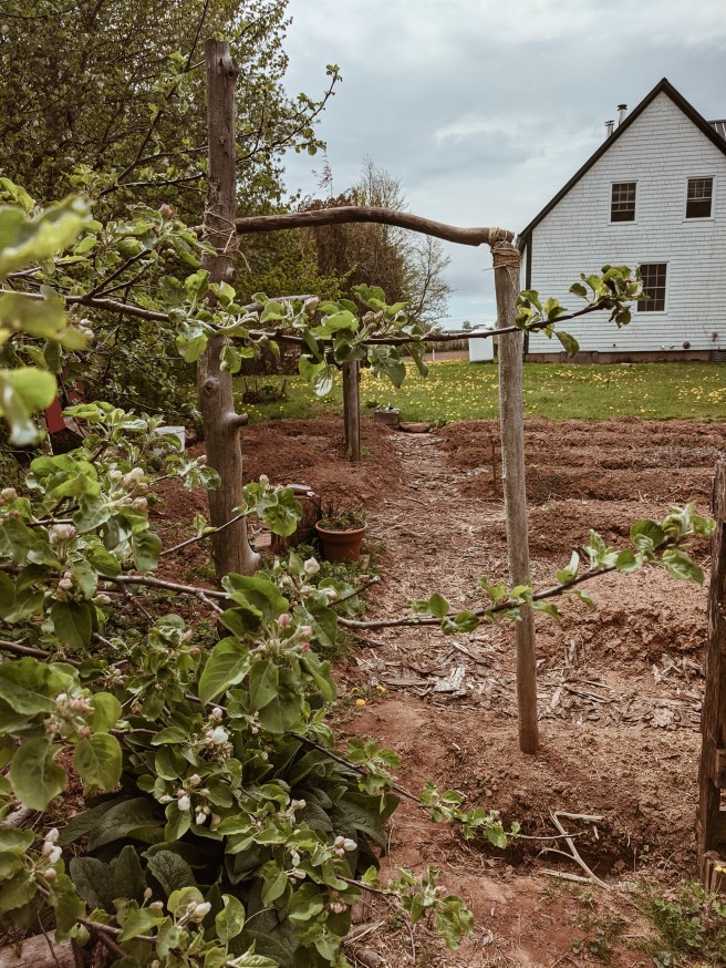 Processed with VSCO with a4 preset