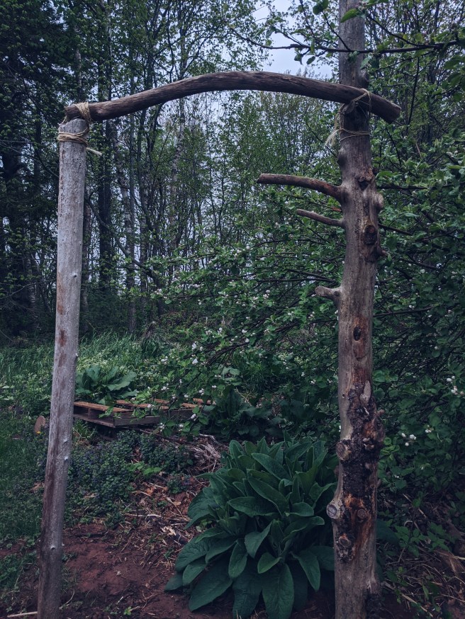 Processed with VSCO with a5 preset