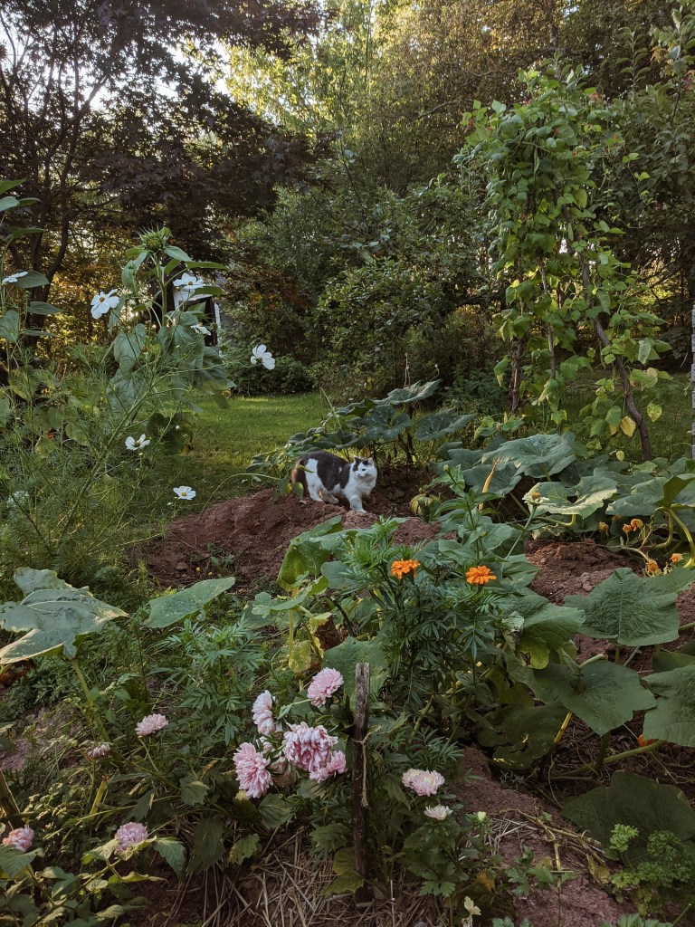 This image has an empty alt attribute; its file name is 2020-09-25-034019954.jpg