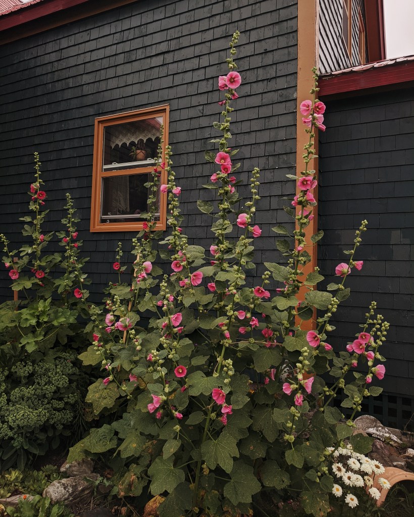 This image has an empty alt attribute; its file name is 2020-09-25-034036879.jpg